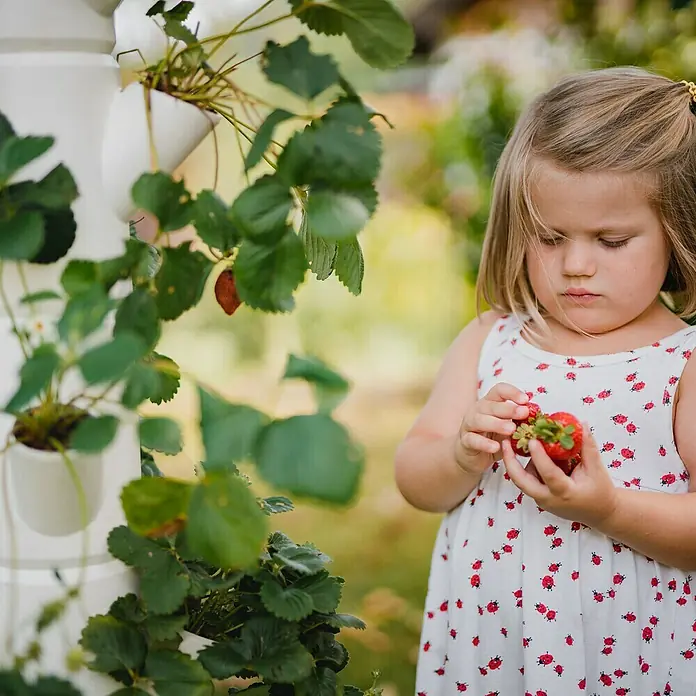 Gusta Garden Pflanzturm Sissi Strawberry Starter - 270 x 270 x 770 mm, Weiß - Mädchen betrachtet Erdbeeren aus dem vertikalen Erdbeergarten, ihr Kleid ist mit Marienkäfern bedruckt, im Hintergrund ist ein Garten zu sehen.