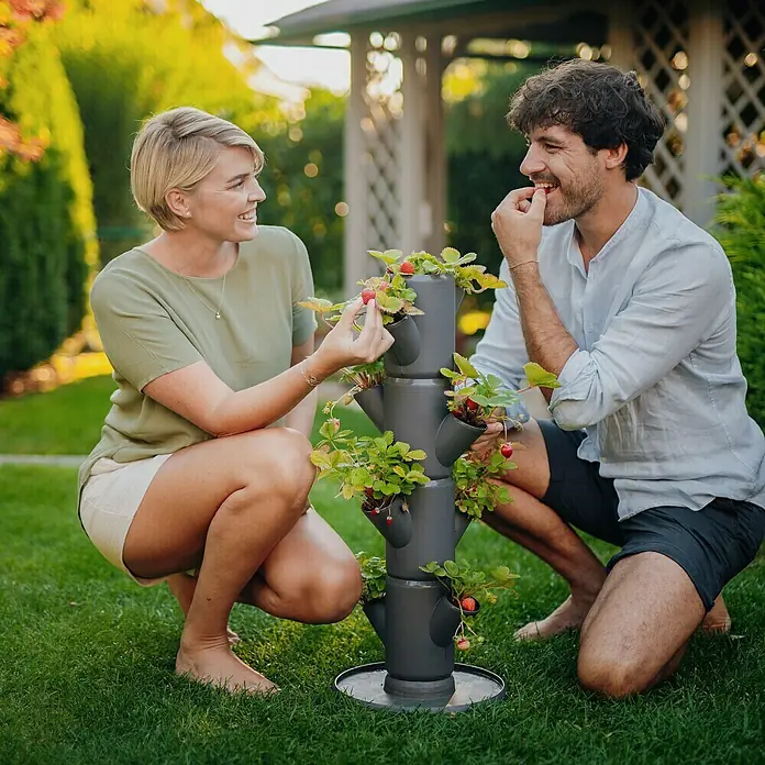 Gusta Garden Pflanzturm Sissi Strawberry Starter - 270 x 270 x 770 mm, Anthrazit - Ein Paar erfreut sich an frischen Erdbeeren aus einem modularen, grauen Pflanzturm im Garten. Ideal für den Anbau auf kleinem Raum.