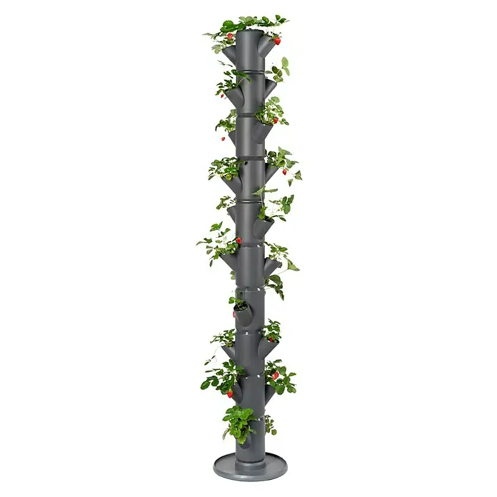 Gusta Garden Pflanzturm Sissi Strawberry infinity - 270 x 270 x 1.850 mm, Anthrazit - Vertikaler Erdbeerturm mit mehreren Ebenen und reifen, roten Erdbeeren in den Pflanzöffnungen.
