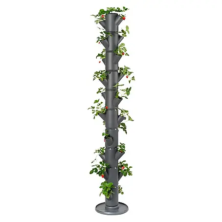 Gusta Garden  Pflanzturm Sissi Strawberry infinity