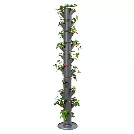 Gusta Garden  Pflanzturm Sissi Strawberry infinity