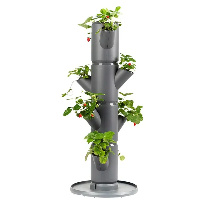 Gusta Garden Pflanzturm Sissi Strawberry Starter - 270 x 270 x 770 mm, Anthrazit - Erdbeerturm: Grauer vertikaler Pflanzturm mit reifen Erdbeeren und grünen Blättern, ideal für den Anbau auf kleinem Raum.