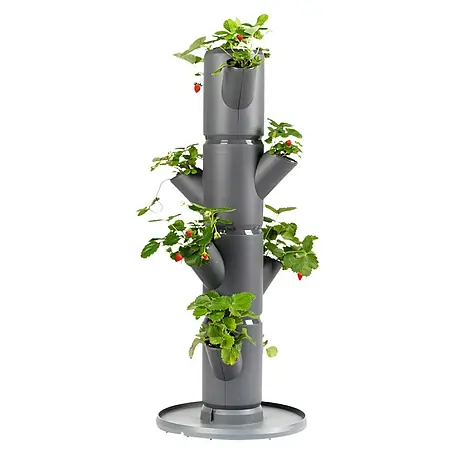 Gusta Garden  Pflanzturm Sissi Strawberry Starter