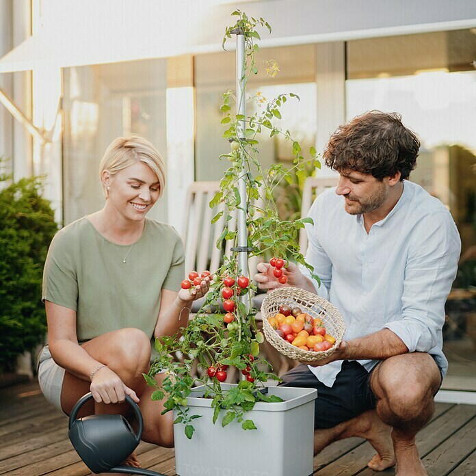 Gusta Garden Pflanztopf Tom Tomato (28 x 35 x 136 cm, Ausstattung: Rankhilfe, Hellgrau) | BAUHAUS