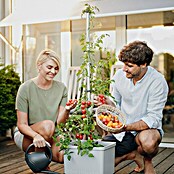 Gusta Garden Pflanztopf Tom Tomato (28 x 35 x 136 cm, Ausstattung: Rankhilfe, Hellgrau) | BAUHAUS