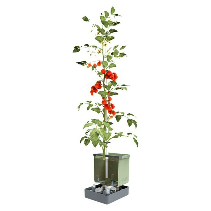Gusta Garden Pflanztopf Tom Tomato (28 x 35 x 136 cm, Ausstattung:  Bewässerungssystem, Hellgrau) | BAUHAUS