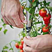 Gusta Garden Pflanztopf Tom Tomato (28 x 35 x 136 cm, Ausstattung: Rankhilfe, Hellgrau) | BAUHAUS