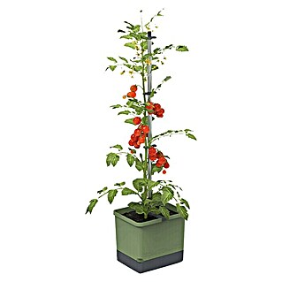 Gusta Garden Pflanztopf Tom Tomato (28 x 35 x 136 cm, Ausstattung: Bewässerungssystem, Dunkelgrün)