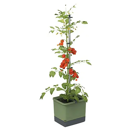 Gusta Garden  Pflanztopf Tom Tomato