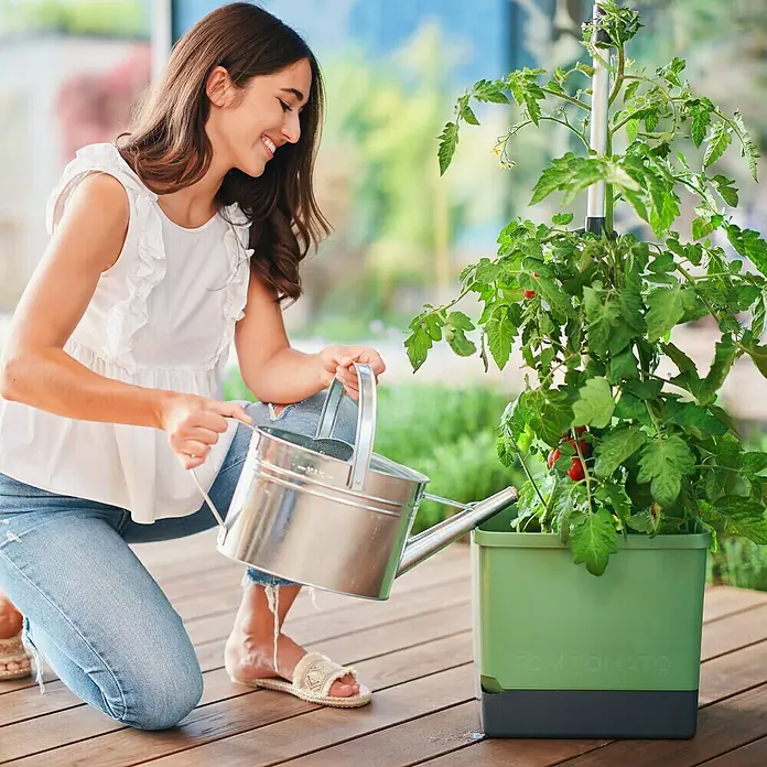 Gusta Garden Pflanztopf Tom Tomato - 68,7 x 103,5 x 27,7 cm, Dunkelgrün, 3 -tlg. - Frau gießt Tomatenpflanze im Tomatenpflanzgefäß auf einer Terrasse. Das Gefäß ist grün und hat ein Bewässerungssystem.