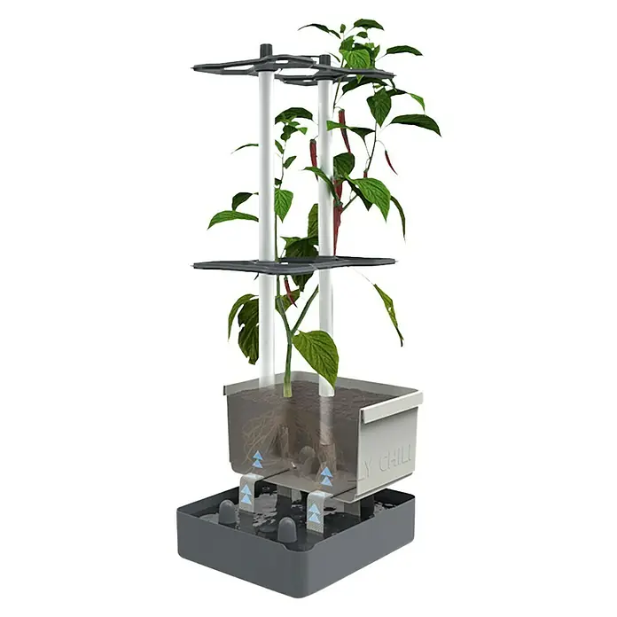 Gusta Garden Pflanzgefäß Charly Chili - 68,7 x 103,5 x 27,5 cm, Hellgrau, 3 -tlg. - Ein hochmodernes Hydrokultursystem für den Anbau von Chilipflanzen im Innenbereich, mit Wachstumsturm und Nährstoffzirkulation.