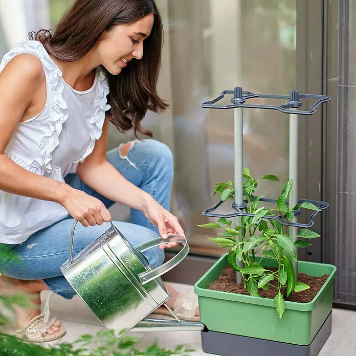 Gusta Garden Pflanzgefäß Charly Chili - 68,7 x 103,5 x 27,5 cm, Dunkelgrün, 3 -tlg. - Frau gießt Charly Chili Pflanze im grünen Topf mit Rankhilfe, ein ideales Produkt für den Gemüseanbau auf kleinem Raum.