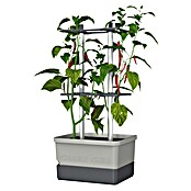 Gusta Garden Anzucht-Set Chili-Starter-Set (5 -tlg., Hellgrau) | BAUHAUS