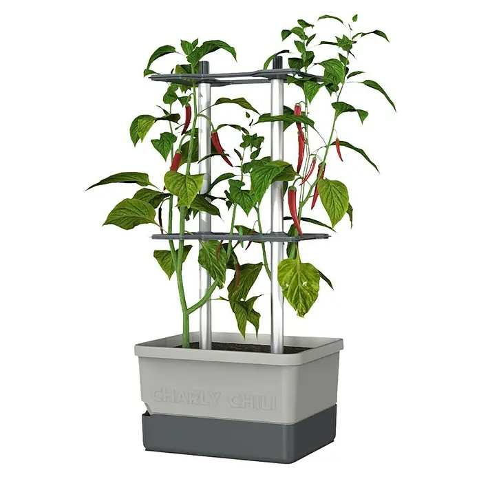 Gusta Garden Pflanzgefäß Charly Chili - 68,7 x 103,5 x 27,5 cm, Hellgrau, 3 -tlg. - Der Charly Chili Pflanzkasten mit einem Chili-Pflanze mit roten Schoten. Ideal für den Anbau von scharfen Chilis auf dem Balkon oder im Garten.