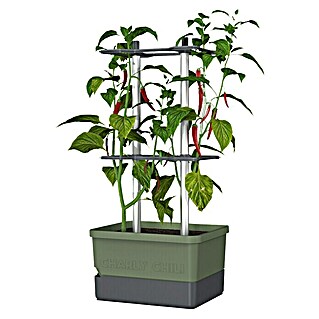 Gusta Garden Pflanzgefäß Charly Chili (34,5 x 27,5 x 69 cm, Dunkelgrün)