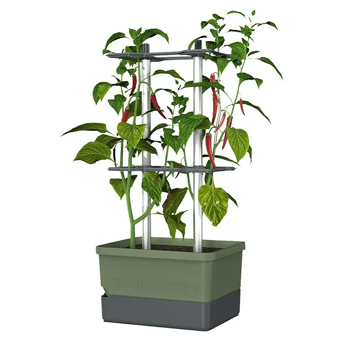 Gusta Garden Pflanzgefäß Charly Chili - 68,7 x 103,5 x 27,5 cm, Dunkelgrün, 3 -tlg. - Der Charly Chili Pflanzkasten mit einem Chili Pflanzenwachstum-Turm ist ideal für den Anbau von Chilischoten auf kleinem Raum.