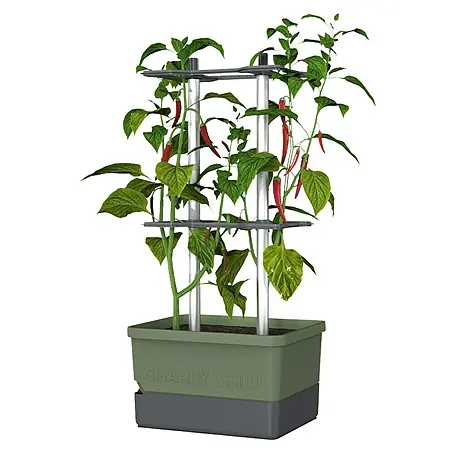 Gusta Garden  Pflanzgefäß Charly Chili