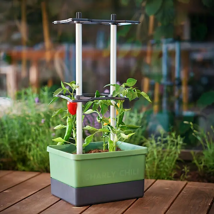 Gusta Garden Pflanzgefäß Charly Chili - 68,7 x 103,5 x 27,5 cm, Dunkelgrün, 3 -tlg. - Der Charly Chili Pflanzkasten mit Pflanzenstütze. Ideal für den Anbau von Chili auf dem Balkon oder der Terrasse.