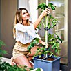 Gusta Garden Pflanztopf Tom Tomato (28 x 35 x 136 cm, Ausstattung: Rankhilfe, Blau) | BAUHAUS