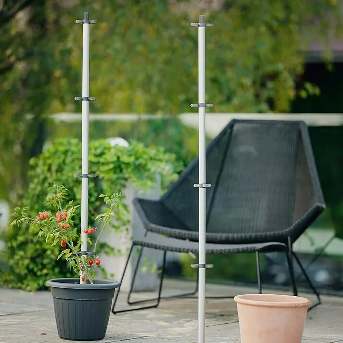 Gusta Garden Rankhilfe Tomato Buddy - Länge: 125 cm, 3 Stk. - Ein Pflanzkasten mit einem modularen Pflanzenstützsystem. Ideal für Tomaten, Gurken und andere Kletterpflanzen.