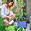Gusta Garden Pflanztopf Tom Tomato (28 x 35 x 136 cm, Ausstattung: Rankhilfe, Blau) | BAUHAUS