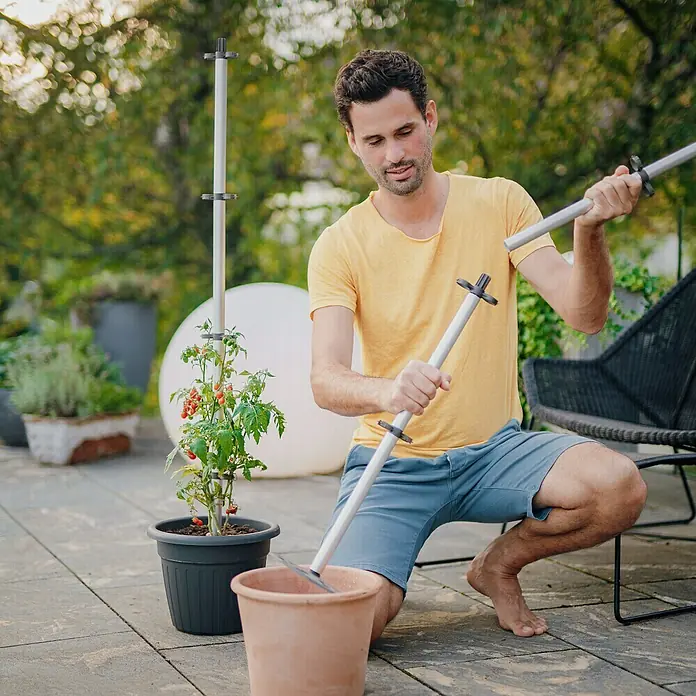 Gusta Garden Rankhilfe Tomato Buddy - Länge: 125 cm, 3 Stk. - Ein Mann montiert eine Tomatenstütze im Garten. Die Stütze ist grau und hat schwarze Halterungen.