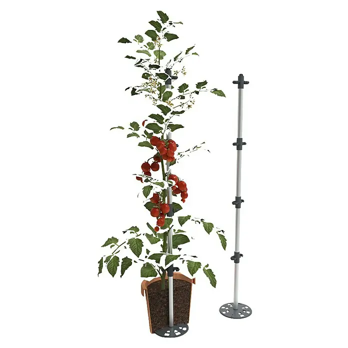 Gusta Garden Rankhilfe Tomato Buddy - Länge: 125 cm, 3 Stk. - Tomatenpflanze mit Stützstruktur, ideal für den Anbau auf kleinem Raum. Ein praktisches System für gesunde Pflanzen.