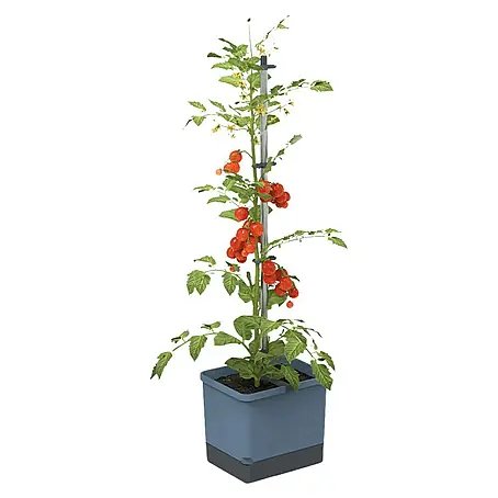 Gusta Garden  Pflanztopf Tom Tomato