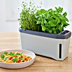 Gusta Garden Kräutertopf Harry Herbs (35,8 x 15 x 25 cm, Kunststoff, Hellgrau) | BAUHAUS