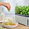 Gusta Garden Kräutertopf Harry Herbs (35,8 x 15 x 25 cm, Kunststoff, Hellgrau) | BAUHAUS