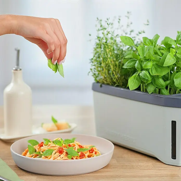 Gusta Garden Kräutertopf Harry Herbs - Kunststoff, Hellgrau - Ein automatischer Kräutergarten von Véritable neben einem Teller Pasta, garniert mit frischem Basilikum.