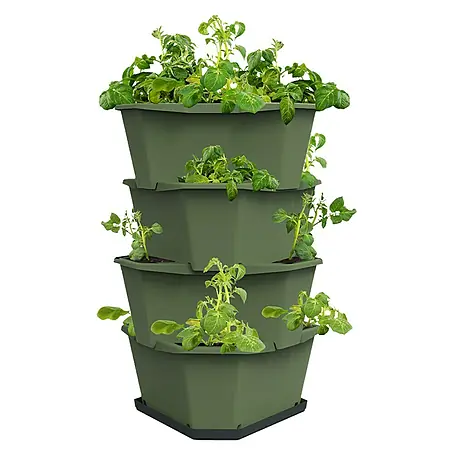 Gusta Garden  Pflanzturm Paul Potato