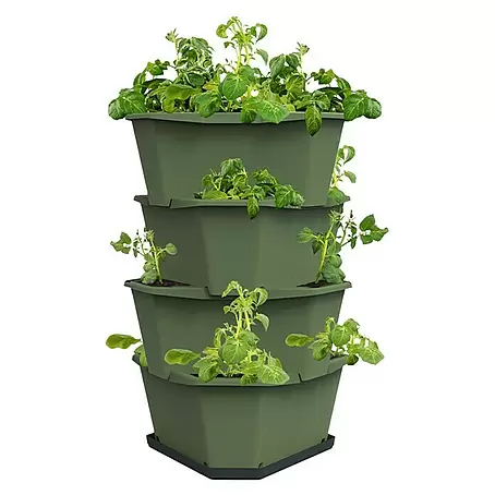Gusta Garden  Pflanzturm Paul Potato