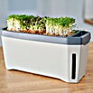 Gusta Garden Kräutertopf Harry Herbs (35,8 x 15 x 25 cm, Kunststoff, Hellgrau) | BAUHAUS
