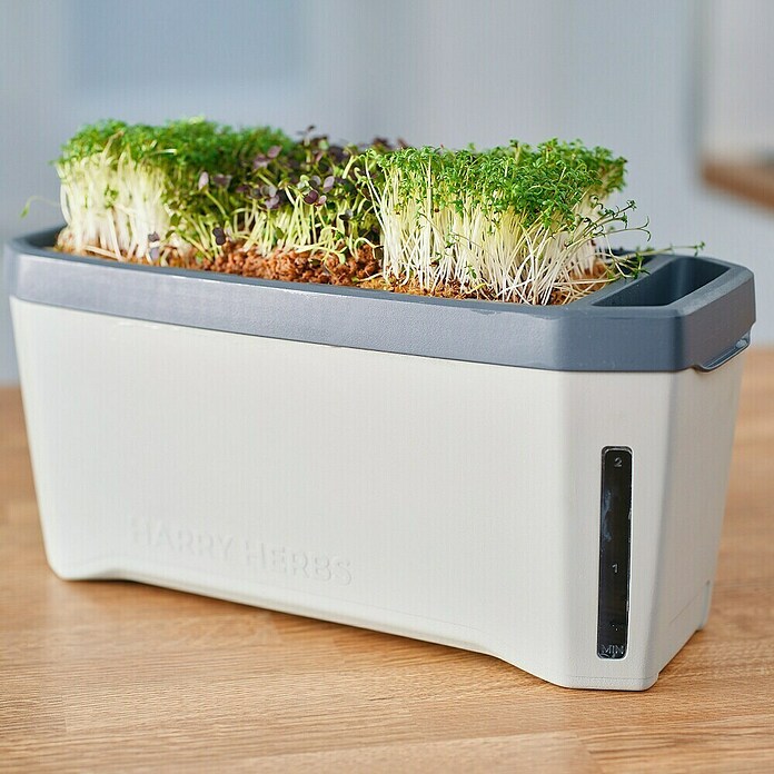 Gusta Garden Kräutertopf Harry Herbs (35,8 x 15 x 25 cm, Kunststoff, Hellgrau) | BAUHAUS