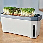 Gusta Garden Kräutertopf Harry Herbs (35,8 x 15 x 25 cm, Kunststoff, Hellgrau) | BAUHAUS