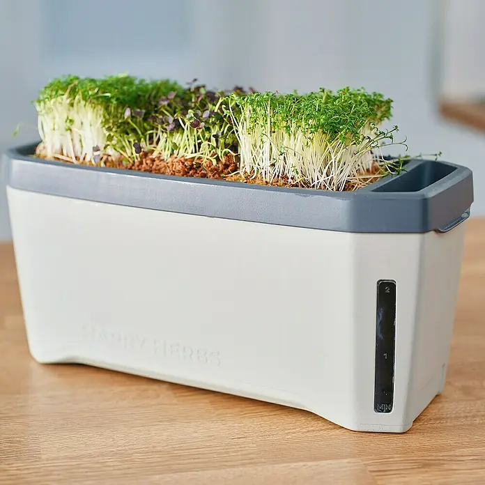 Gusta Garden Kräutertopf Harry Herbs - Kunststoff, Hellgrau - Aufnahme einer Kräuterkiste mit verschiedenen Kräutersorten. Das Happy Herbs Kit ist ideal für den Anbau von Kräutern in Innenräumen.