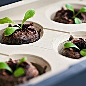Gusta Garden Kräutertopf Harry Herbs (35,8 x 15 x 25 cm, Kunststoff, Weiß) | BAUHAUS