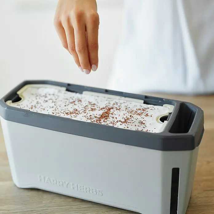 Gusta Garden Kräutertopf Harry Herbs - Kunststoff, Hellgrau - Eine Hand streut Samen auf ein Kräuterbeet von Harry Herbs, das auf einem Holztisch steht, um frische Kräuter zu ziehen.