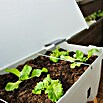 Gusta Garden Hochbeet Sammy Salad (79 x 37,5 x 95 cm, Kunststoff, Hellgrau) | BAUHAUS