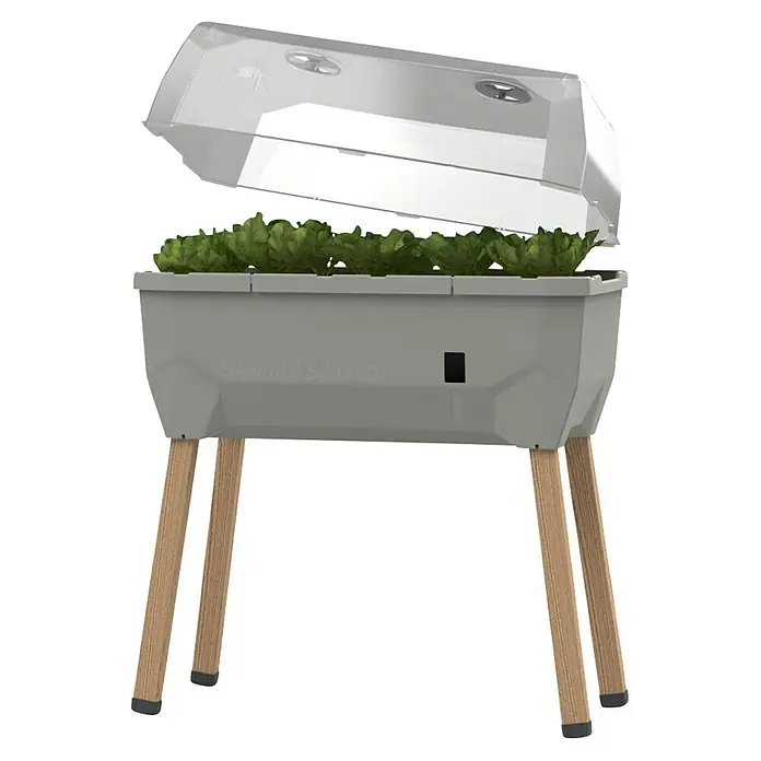 Gusta Garden Hochbeet Sammy Salad - 79 x 37,5 x 95 cm, Kunststoff, Hellgrau - Das Bild zeigt einen "Sammy Salad" Pflanzkasten mit geöffnetem Deckel, der Salatpflanzen enthält und auf Holzbeinen steht.