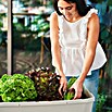 Gusta Garden Hochbeet Sammy Salad (79 x 37,5 x 95 cm, Kunststoff, Hellgrau) | BAUHAUS