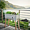 Gusta Garden Hochbeet Sammy Salad (79 x 37,5 x 95 cm, Kunststoff, Hellgrau) | BAUHAUS