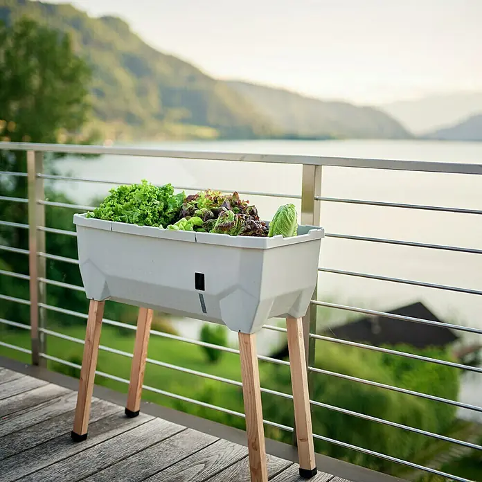Gusta Garden Hochbeet Sammy Salad - 79 x 37,5 x 95 cm, Kunststoff, Hellgrau - Das Hochbeet auf dem Balkon mit Salat. Das Design passt sich perfekt an die Umgebung und die frische Kräuter an.