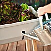 Gusta Garden Hochbeet Sammy Salad (79 x 37,5 x 95 cm, Kunststoff, Hellgrau) | BAUHAUS