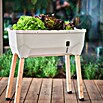 Gusta Garden Hochbeet Sammy Salad (79 x 37,5 x 95 cm, Kunststoff, Hellgrau) | BAUHAUS