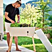 Gusta Garden Hochbeet Sammy Salad (79 x 37,5 x 95 cm, Kunststoff, Hellgrau) | BAUHAUS