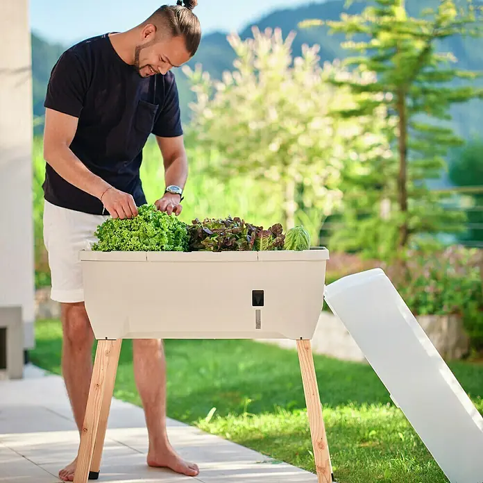 Gusta Garden Hochbeet Sammy Salad - 79 x 37,5 x 95 cm, Kunststoff, Hellgrau - Der erhöhte Pflanzkasten ermöglicht bequemes Gärtnern im Freien mit minimaler Belastung. Ideal für den Anbau von Kräutern, Gemüse und Blumen.