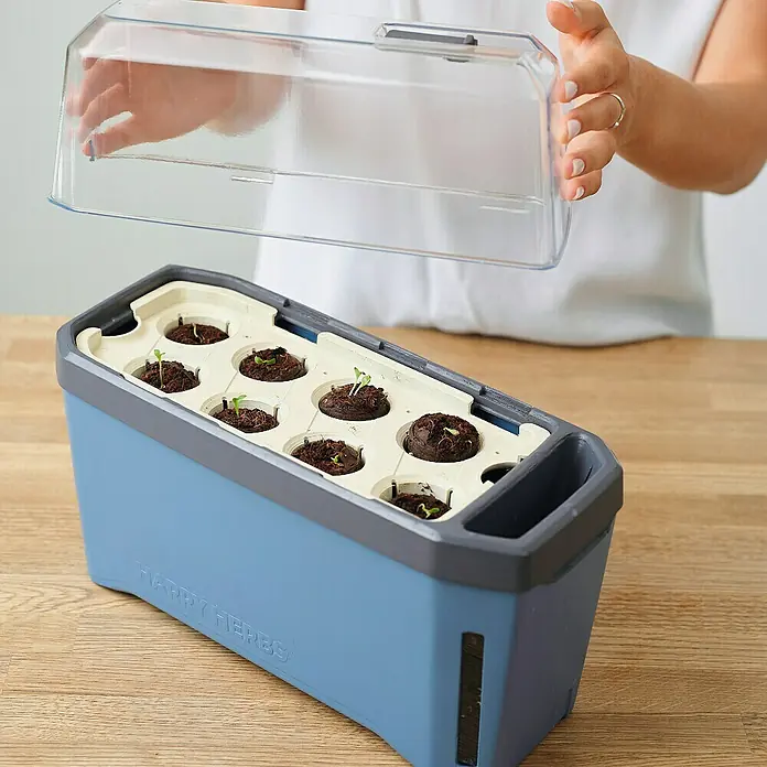 Gusta Garden Kräutertopf Harry Herbs - Kunststoff, Blau - Aufzuchtkasten "Happy Herbs" mit transparenter Abdeckung, ideal für die Anzucht von Kräutern und kleinen Pflanzen.