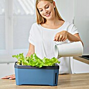 Gusta Garden Kräutertopf Harry Herbs (35,8 x 15 x 25 cm, Kunststoff, Blau) | BAUHAUS